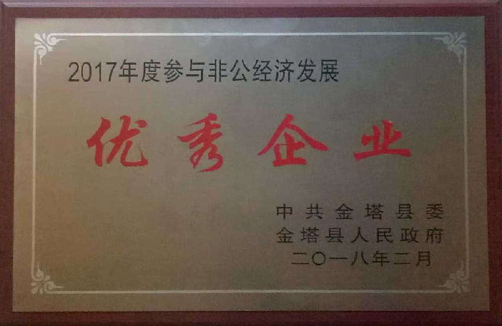 Outstanding enterprise of non-public economic development